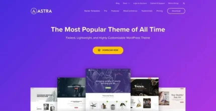 free theme for wordpress